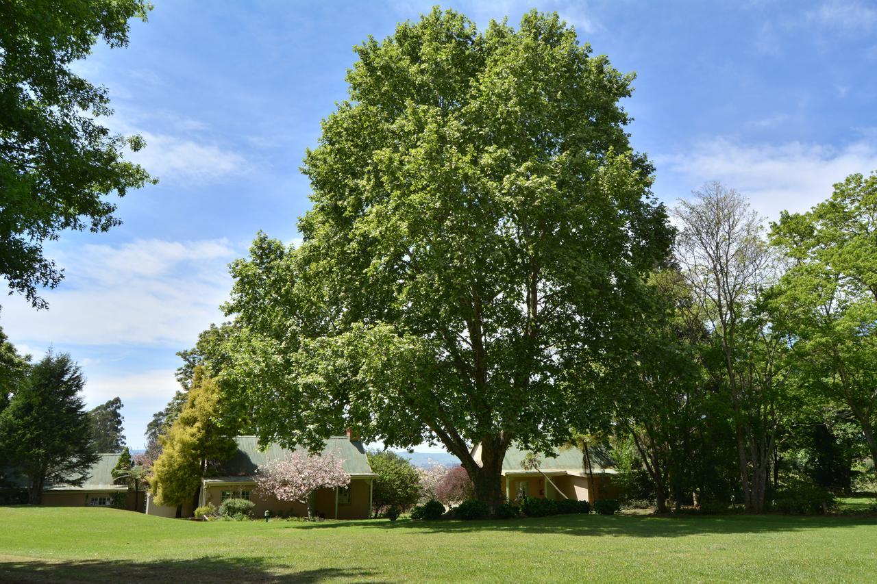 Halliwell Country Inn Howick Zewnętrze zdjęcie